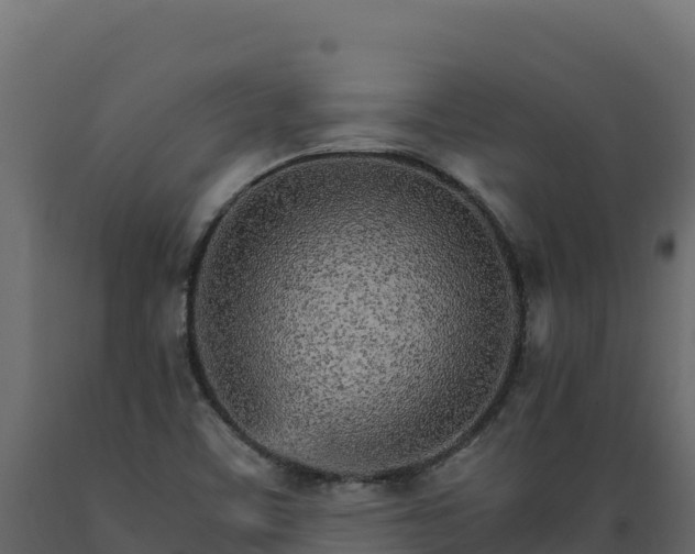 X0000089941459200707061050