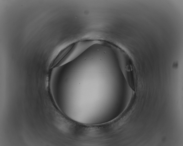 X0000089941461200707061050