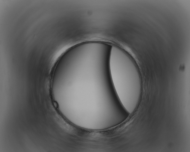 X0000089941463200707061050