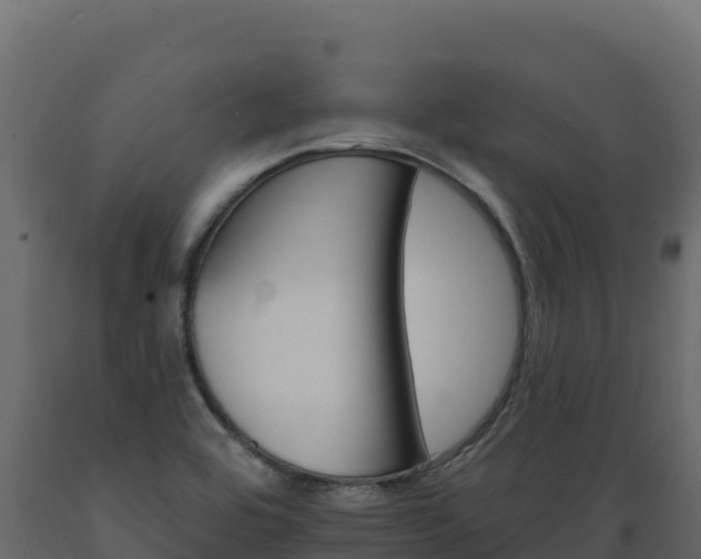 X0000089941464200707061050