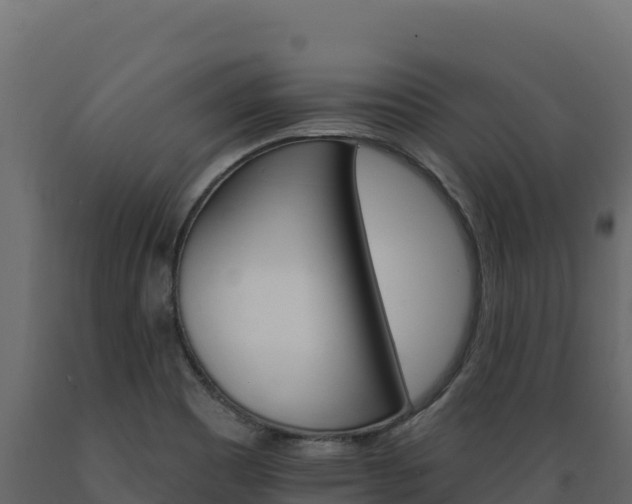 X0000089941465200707061050