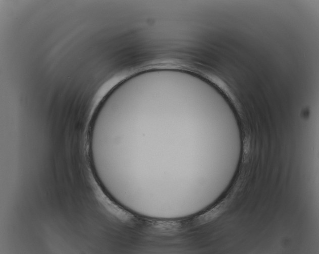 X0000089941466200707061050