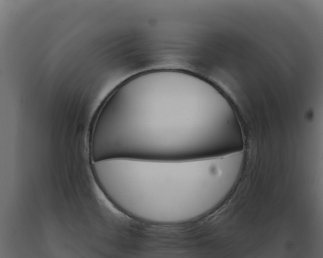 X0000089941468200707061050