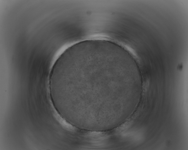 X0000089941470200707061050
