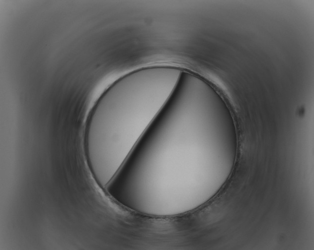 X0000089941472200707061050