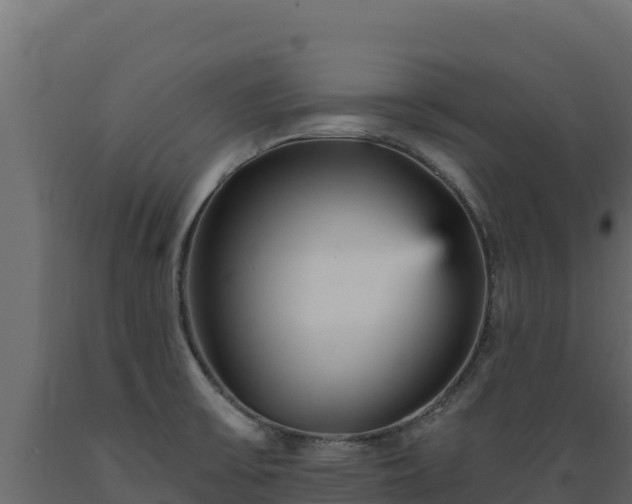 X0000089941475200707061050