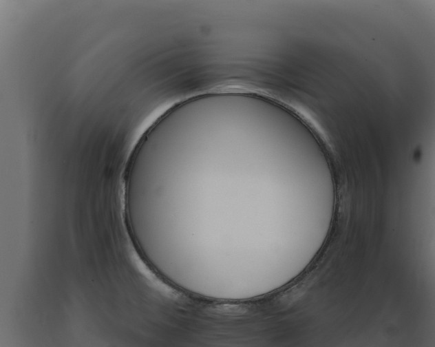 X0000089941476200707061050
