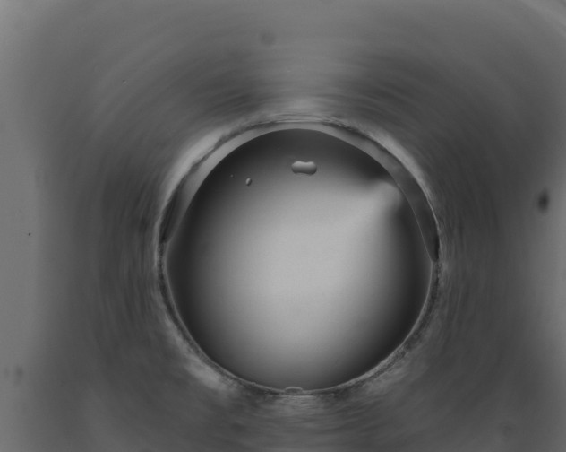 X0000089941477200707061050
