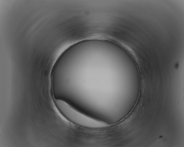 X0000089941479200707061050