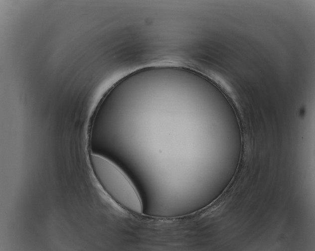 X0000089941480200707061050