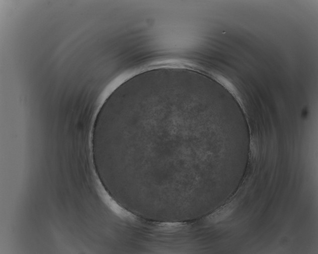 X0000089941482200707061050