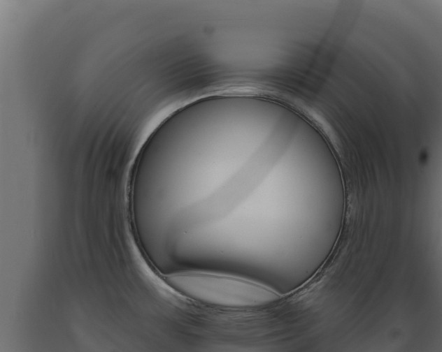 X0000089941483200707061050
