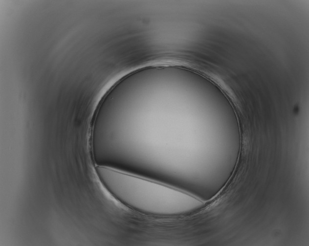 X0000089941484200707061050