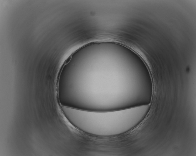 X0000089941485200707061050