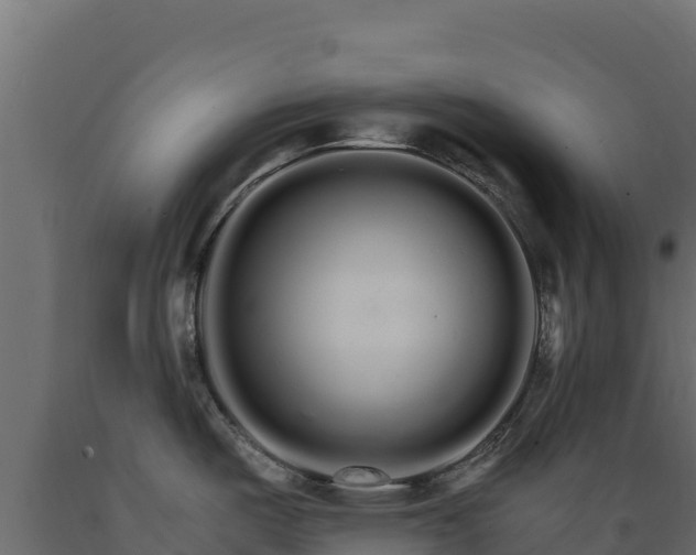 X0000089941487200707061050
