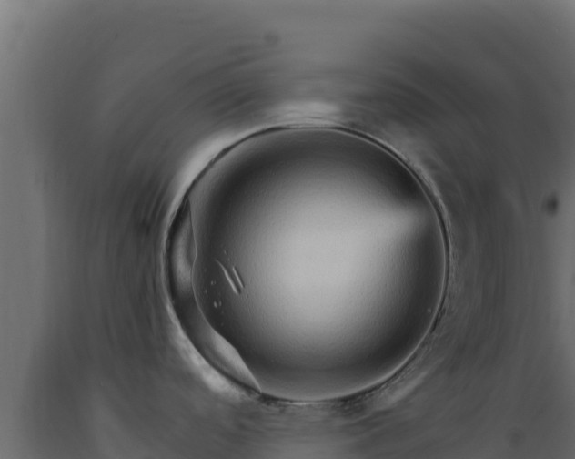 X0000089941488200707061050