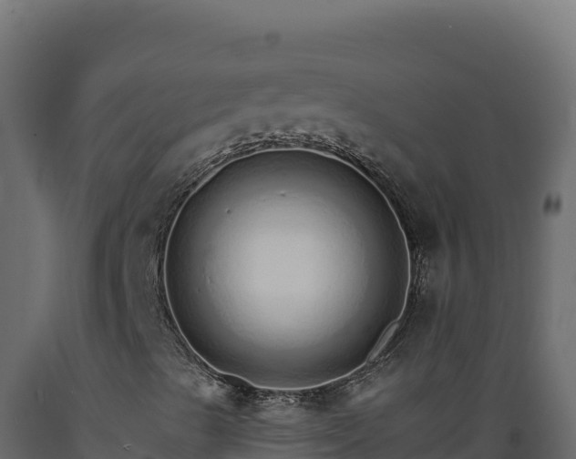 X0000089941489200707061049