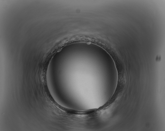 X0000089941490200707061049