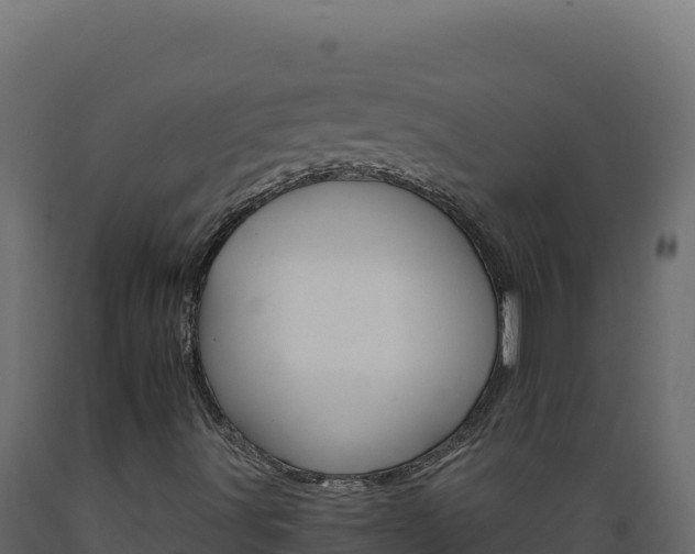X0000089941491200707061049