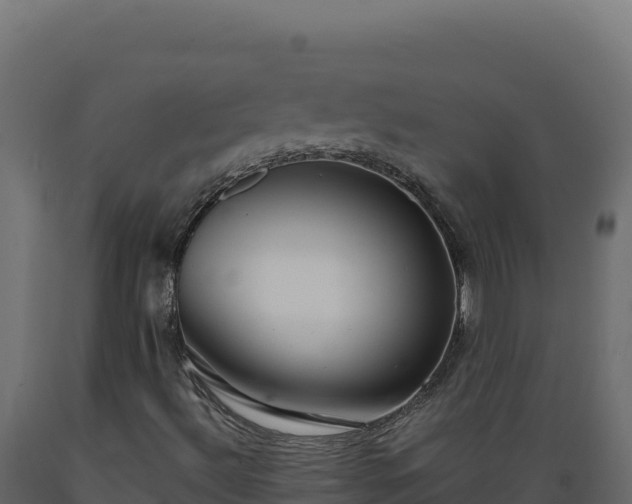 X0000089941492200707061049