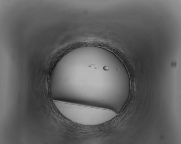 X0000089941493200707061049