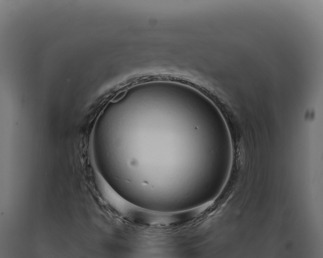 X0000089941494200707061049