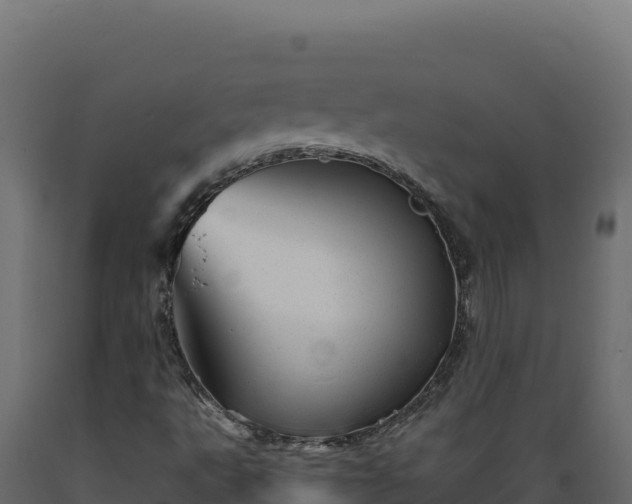 X0000089941495200707061049