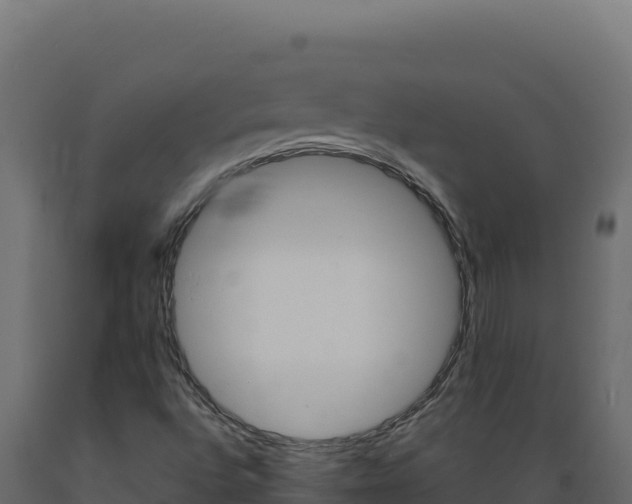 X0000089941496200707061049