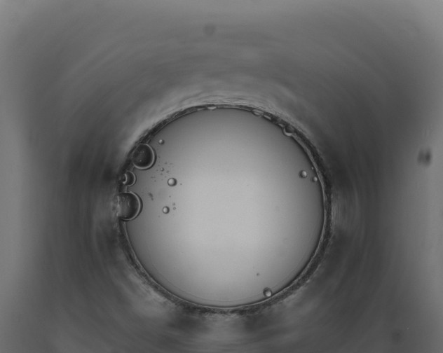 X0000089941498200707061049
