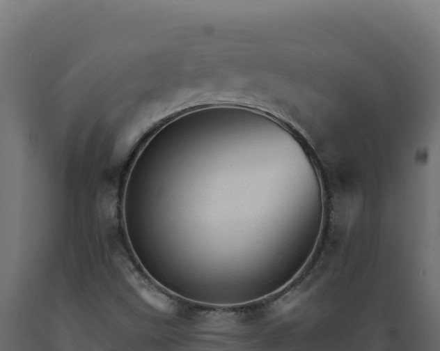 X0000089941499200707061049