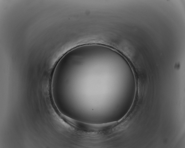 X0000089941500200707061049
