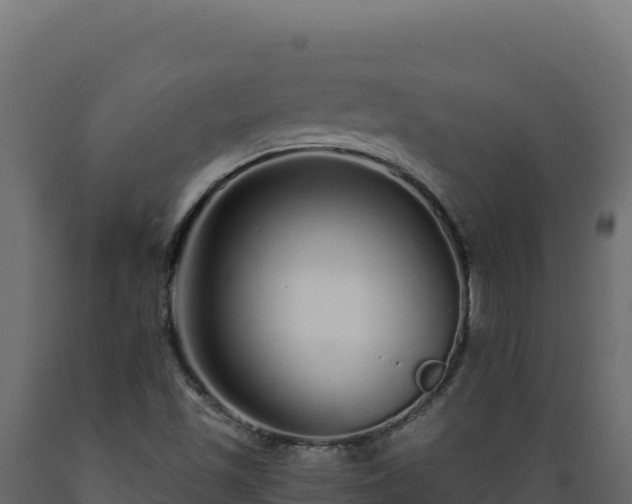 X0000089941501200707061049
