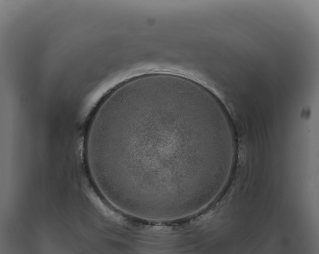 X0000089941503200707061049