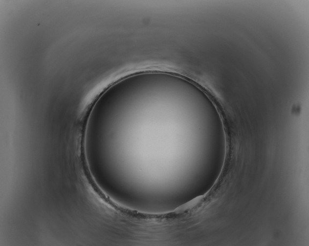 X0000089941504200707061049