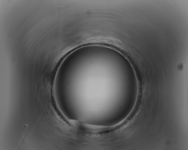 X0000089941505200707061049