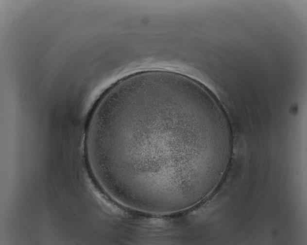 X0000089941507200707061049