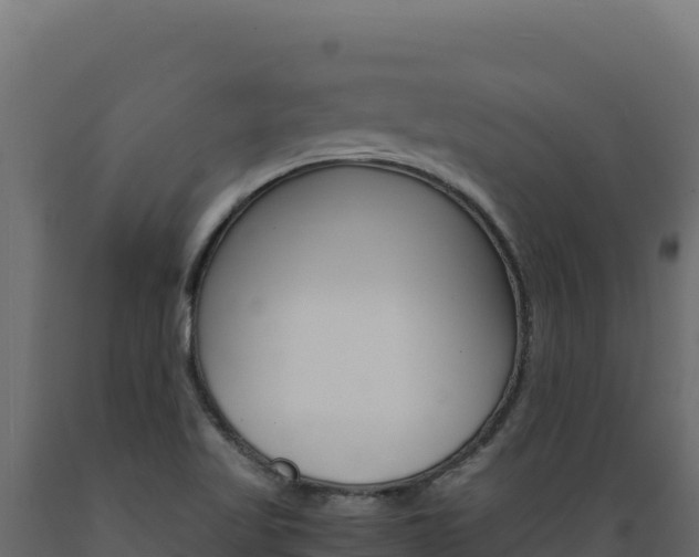 X0000089941509200707061049