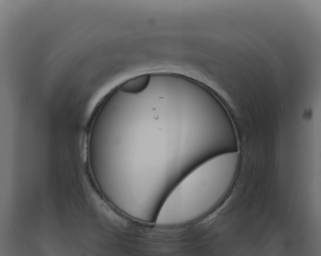 X0000089941510200707061049