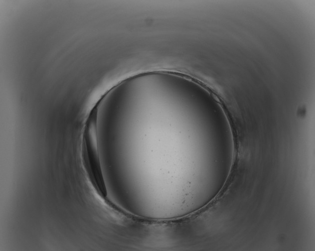X0000089941512200707061049