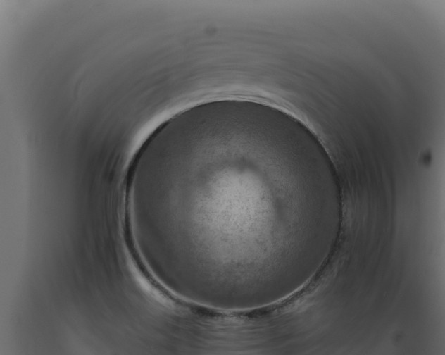 X0000089941515200707061049