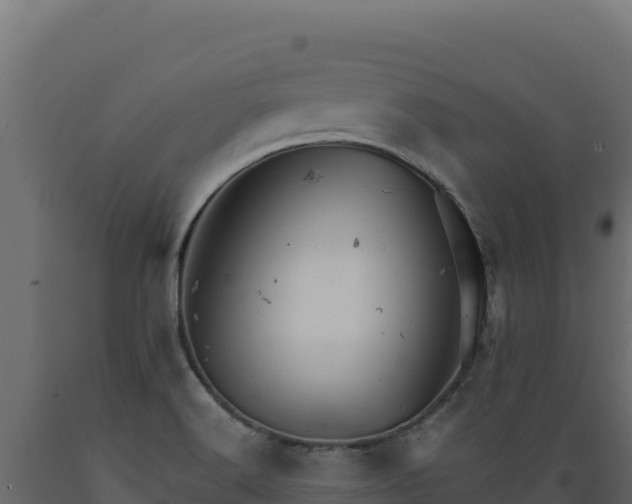 X0000089941516200707061049