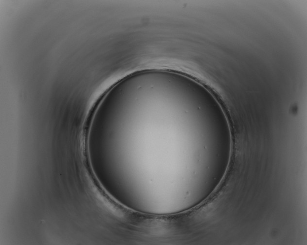X0000089941517200707061049