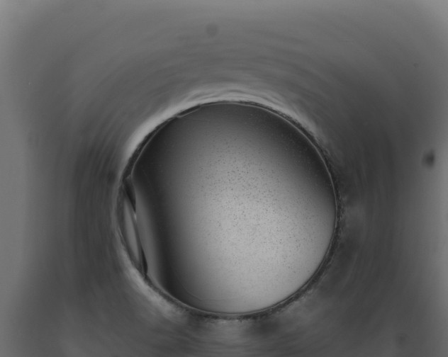 X0000089941518200707061049