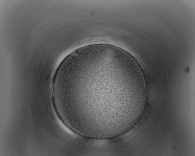 X0000089941519200707061049