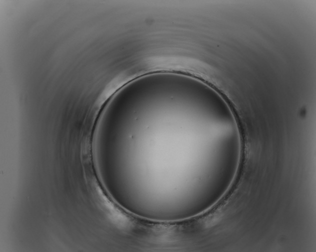 X0000089941521200707061049
