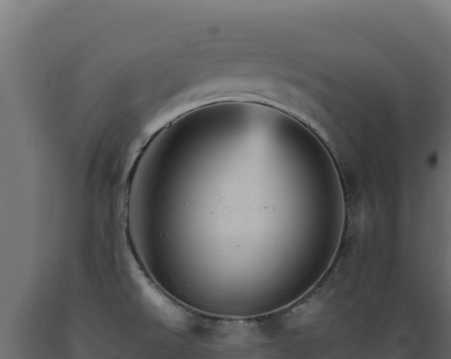 X0000089941526200707061049
