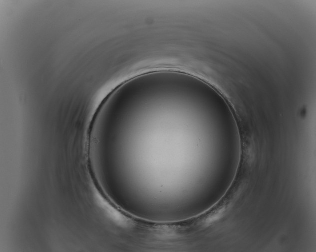 X0000089941527200707061049