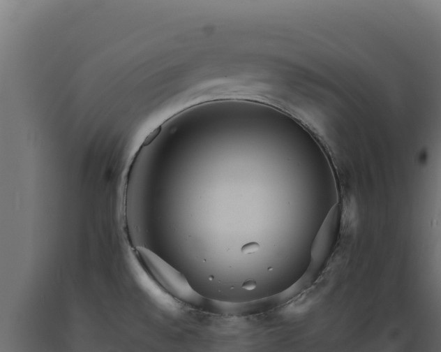 X0000089941528200707061050