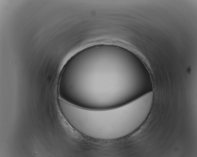X0000089941530200707061050