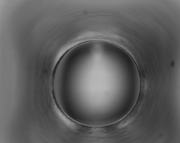 X0000089941531200707061050